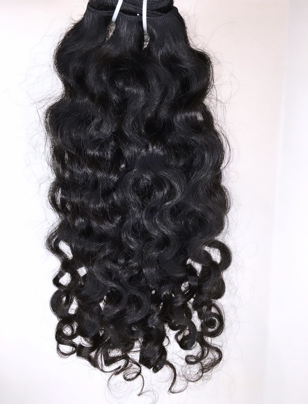 Burmese Curly